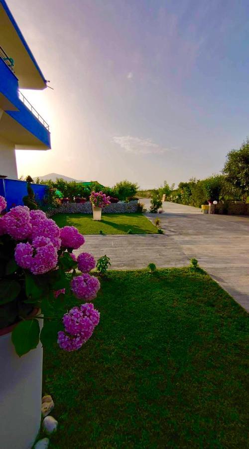 Kred Hotel أوريكوم المظهر الخارجي الصورة